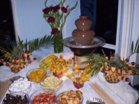 /album/fotogaleria/fuente-de-chocolate-12-jpg/